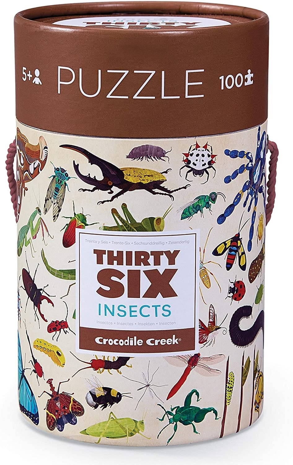 Backyard Bugs Puzzle