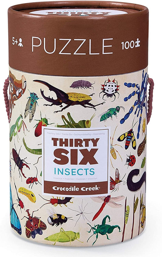 Backyard Bugs Puzzle
