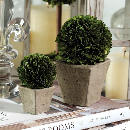 Round Preserved Boxwood Topiary In Square Pot